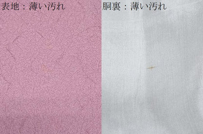 平和屋着物■中国三大刺繍　スワトウ刺繍　無地絵羽訪問着　亀甲花文　正絹　逸品　CABH3658th