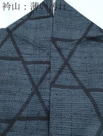 平和屋着物■上質な紬　100亀甲　吉祥文　正絹　逸品　CABH3661th