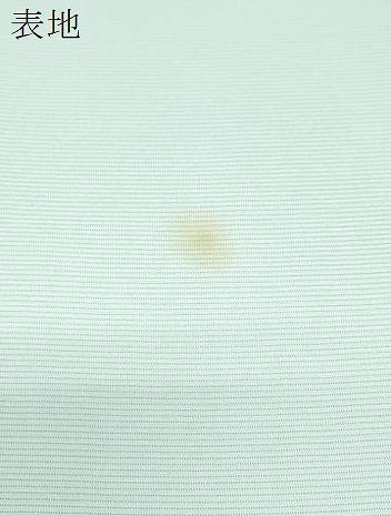 平和屋着物＊夏物　訪問着　絽　草花文　正絹　逸品　CABH3839th