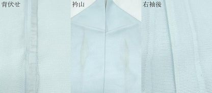 平和屋着物＊夏物　訪問着　絽　友禅　芝草花文　正絹　逸品　CABH3842th