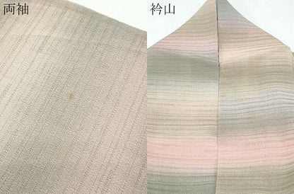 平和屋着物＊夏物　小紋　変わり絽　作家物　霞文　暈し染め　正絹　逸品　CABH3847th