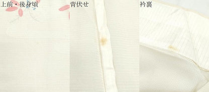 平和屋着物＊夏物　訪問着　絽　籬草花文　正絹　逸品　CABH3853th