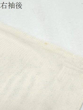 平和屋着物＊夏物　訪問着　手描き　船　鴛鴦花文　正絹　逸品　CABH3858th