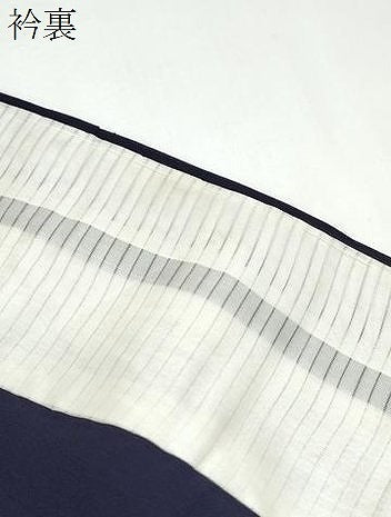 平和屋着物＊夏物　訪問着　紗紬　笹竹地紋　鉄紺色　正絹　逸品　CABH3862th