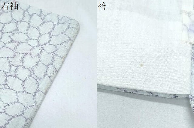 平和屋着物＊夏物　小紋　花尽し　CABH3875th