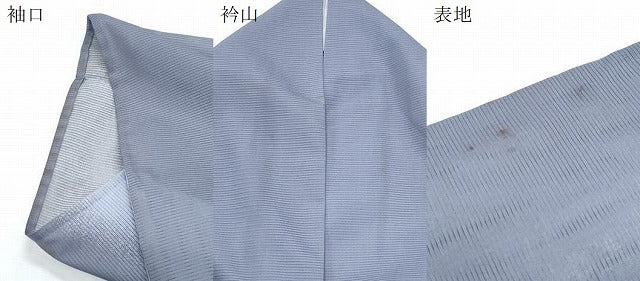 平和屋着物＊夏物　訪問着　絽　風景文　金彩　洗える着物　CABH3882th