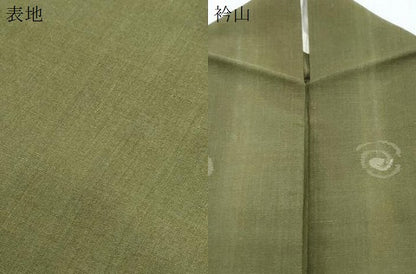 平和屋着物＊夏物　紗紬　吉祥丸文　正絹　逸品　CABH3896th