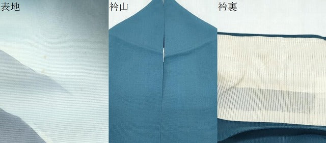 平和屋着物＊夏物　訪問着　絽　遠山風景文　正絹　逸品　CABH3898th
