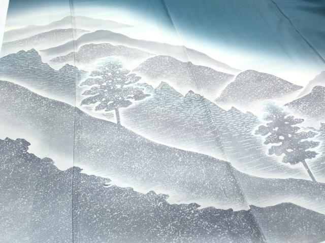 平和屋着物＊夏物　訪問着　絽　遠山風景文　正絹　逸品　CABH3898th