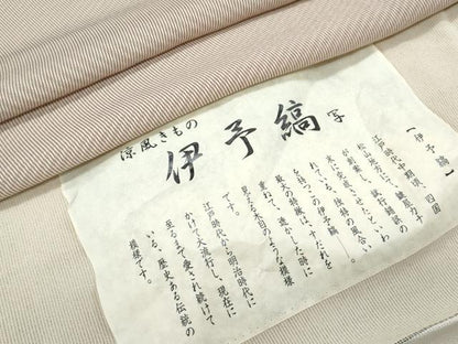 平和屋着物＊夏物　江戸小紋　伊予縞　反端付き　正絹　逸品　CABH3902th