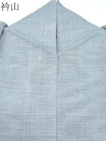 平和屋着物＊夏物　色留訪問着　紗紬　草花文　正絹　逸品　CABH3904th
