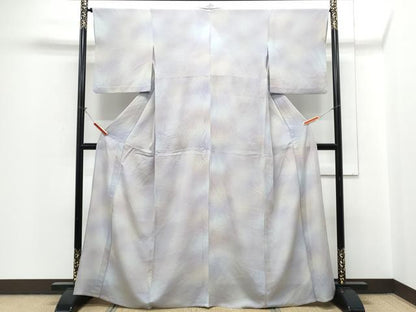 平和屋着物＊夏物 小紋 絽縮緬 霞文 暈し染め 正絹 逸品 CABH3911th