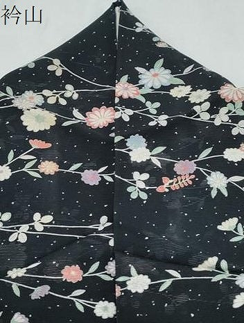 平和屋着物＊夏物　小紋　絽　草花文　黒地　正絹　逸品　CABH3913th