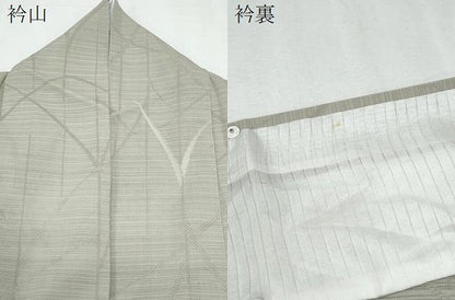 平和屋着物＊夏物　小紋　変わり絽　芝草紋紗　正絹　逸品　CABH3924th