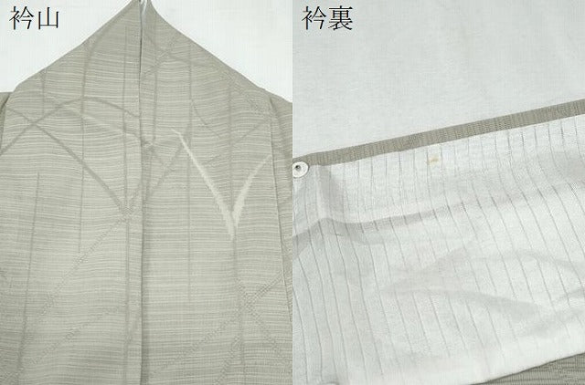 平和屋着物＊夏物　小紋　変わり絽　芝草紋紗　正絹　逸品　CABH3924th