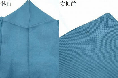 平和屋着物＊夏物　訪問着　絽　遠山文　正絹　逸品　CABH3963th