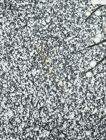 平和屋着物●訪問着　冊子枝花文　たたき染め　金彩　正絹　逸品　CABH3971th