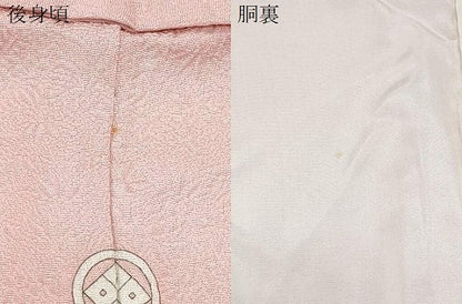 平和屋着物●本加賀友禅作家　毎田仁郎監修　色無地　草花地紋　虹色　正絹　逸品　CABH3983th