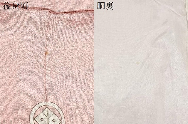 平和屋着物●本加賀友禅作家　毎田仁郎監修　色無地　草花地紋　虹色　正絹　逸品　CABH3983th