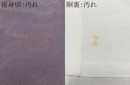 平和屋着物■江戸小紋　鮫小紋柄　正絹　逸品　CABH4021xe