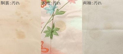 平和屋着物■訪問着　刺繍　枝花文　正絹　逸品　CABH4053xe