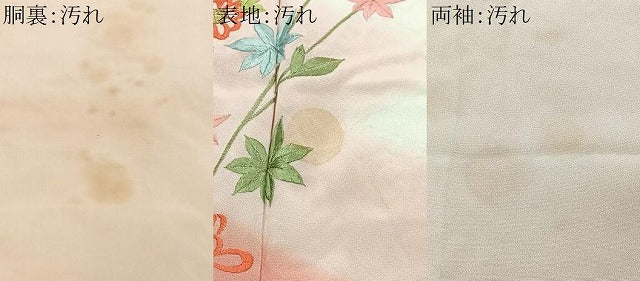平和屋着物■訪問着　刺繍　枝花文　正絹　逸品　CABH4053xe