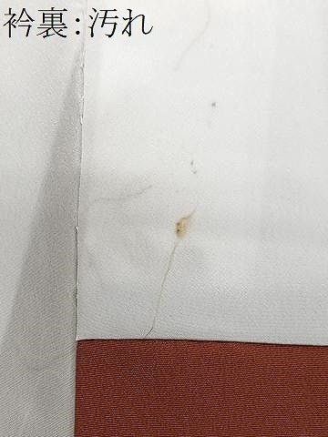 平和屋着物■上質な小紋　枝垂れ桜文　正絹　逸品　CABH4234xe