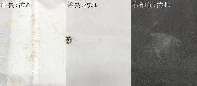 平和屋着物■豪華黒留袖　作家物　葵祭　暈し染め　金彩　正絹　逸品　CABH4238xe