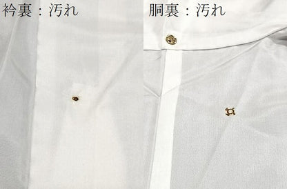 平和屋着物■本場大島紬　草花文　証紙付き　正絹　逸品　CABH4260xe