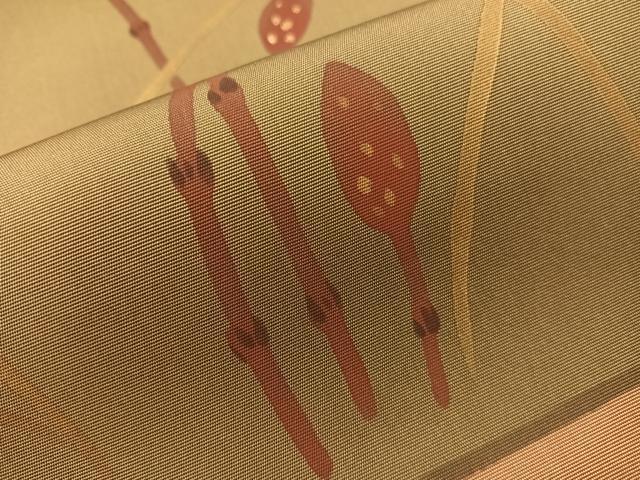 平和屋着物●太鼓柄袋帯　刺繍　つくし　金彩　正絹　逸品　CABH4770vp