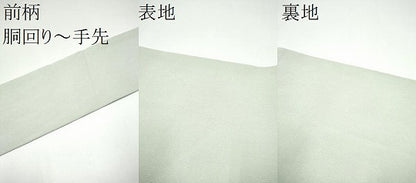 平和屋着物●九寸名古屋帯　手描き　金彩　鬼しぼ縮緬　正絹　逸品　CABH4842hy