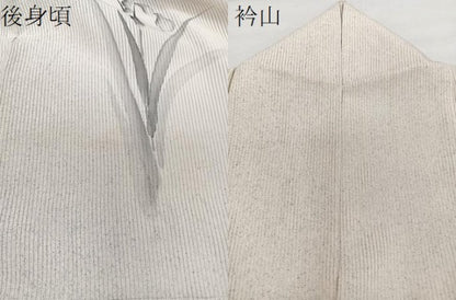 平和屋着物＊夏物　訪問着　絽　手描き　草花文　正絹　逸品　CABH5209xi