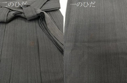 平和屋着物＊夏物　男性　行灯袴　縦絽　縞　正絹　逸品　CABH5210xi
