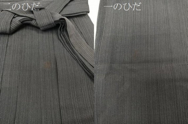 平和屋着物＊夏物　男性　行灯袴　縦絽　縞　正絹　逸品　CABH5210xi
