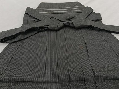 平和屋着物＊夏物　男性　行灯袴　縦絽　縞　正絹　逸品　CABH5210xi