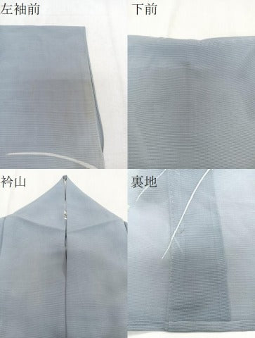 平和屋着物＊夏物　訪問着　絽　色紙草花文　暈し染め　正絹　逸品　CABH5220xi