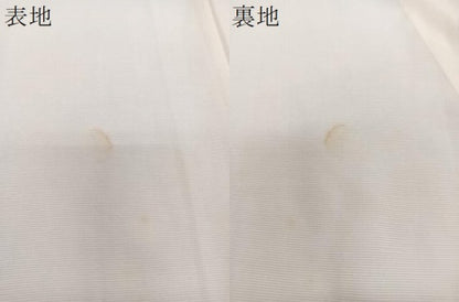 平和屋着物＊夏物　訪問着　絽　枝梅花文　正絹　逸品　CABH5221xi