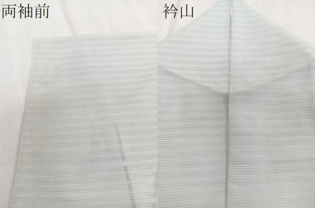 平和屋着物＊夏物　訪問着　変わり絽　友禅　草花文　暈し染め　正絹　逸品　CABH5229xi