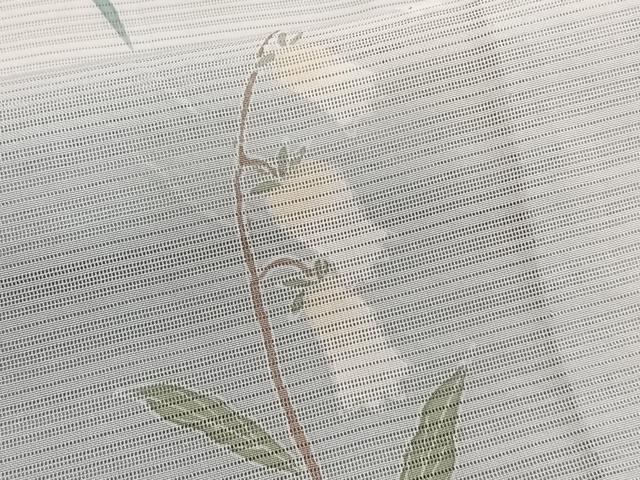 平和屋着物＊夏物　訪問着　変わり絽　友禅　草花文　暈し染め　正絹　逸品　CABH5229xi