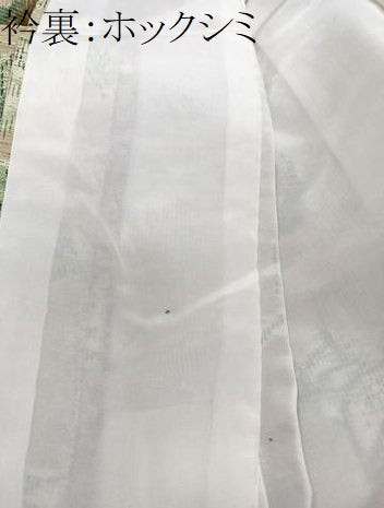 平和屋着物■上質な紬　花唐草文　正絹　逸品　未使用　CABH5323xi