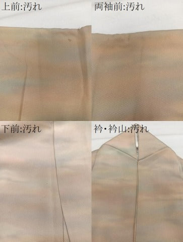 平和屋着物■上質な小紋　作家物　本草木染 　霞文　正絹　逸品　CABH5501xi