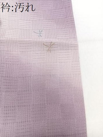 平和屋着物＊夏物　小紋　変わり絽　流水蜻蛉　暈し染め　正絹　逸品　CABH5553xi