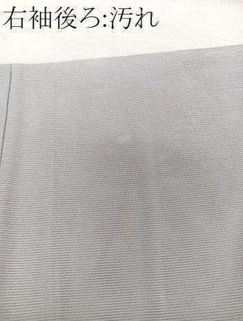 平和屋着物＊夏物　訪問着　絽　草木文　暈し染め　金彩　正絹　逸品　CABH5558xi