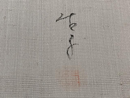 平和屋着物＊手描友禅女流作家　一色生子　夏物　訪問着　紗紬　草花文　ロング丈　正絹　逸品　未使用　CABH5570xi