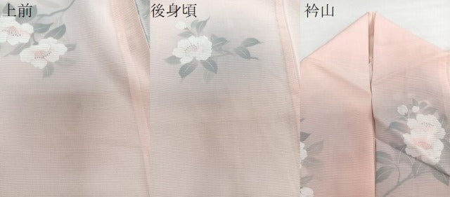 平和屋着物＊夏物　小紋　絽　草花文　正絹　逸品　CABH5585xi