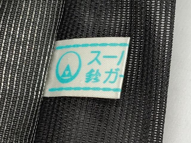 平和屋着物＊夏物 六通柄袋帯 初夏の微風 黒地 金銀糸 鈴乃屋扱い 正絹 逸品 CABH6218tx