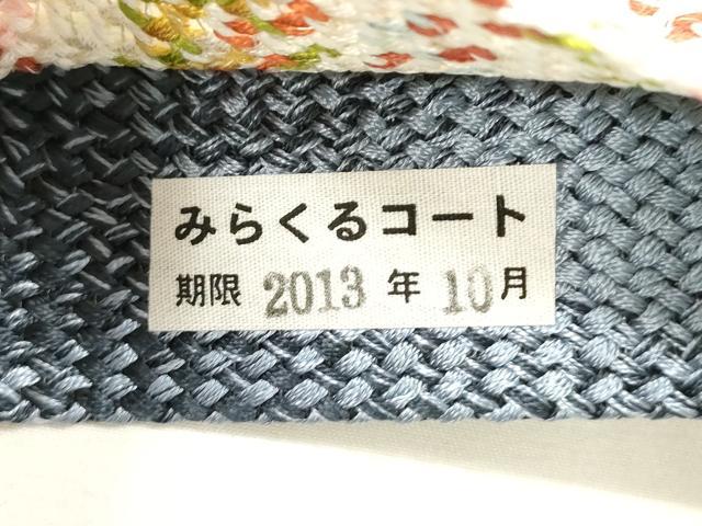 平和屋着物●両面　半幅帯　組織　斜線文　銀通し地　正絹　逸品　未使用　CABH6421dy