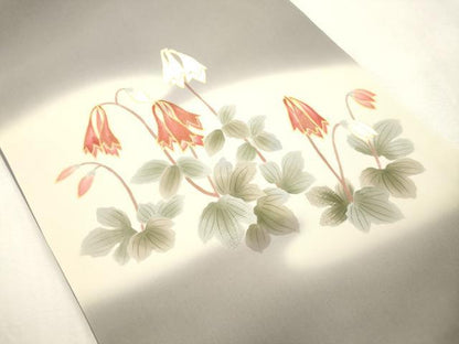 平和屋着物●塩瀬　九寸開き名古屋帯　手描き　刺繍　草花文　金彩　逸品　CABH6731dy