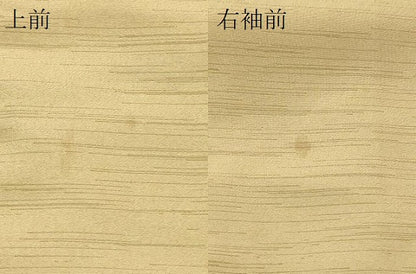 平和屋着物＃男性　長羽織　卵色　キングサイズ　洗える着物　CABH6936in