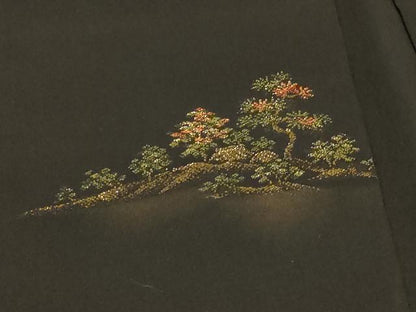 平和屋着物＃羽織　寿光織　風景草花文　黒地　金糸　正絹　逸品　CABH6938in